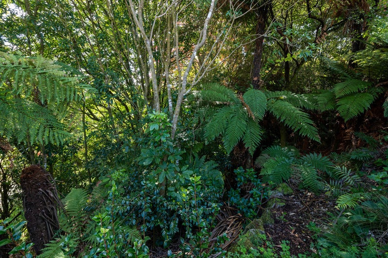 17 Solly Place, Springfield, Rotorua - Carousel 20