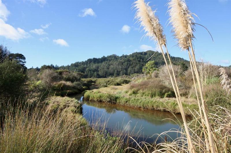 2666A Waihi Whangamata Road, Whangamata - Carousel 24