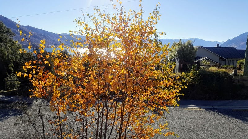 155 Lakeview Terrace, Lake Hāwea - Carousel 20