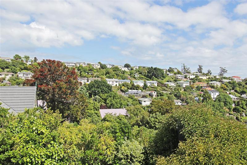 13 Mount Pleasant Avenue, Beachville, Nelson - Carousel 15