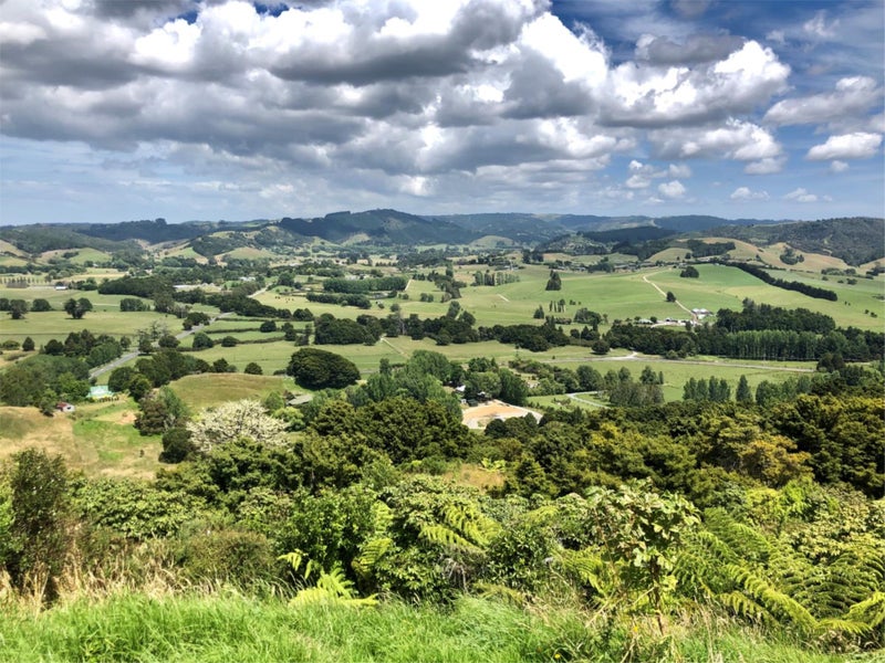 19 Hawks Ridge Rise, Dome Forest, Warkworth - Carousel 11