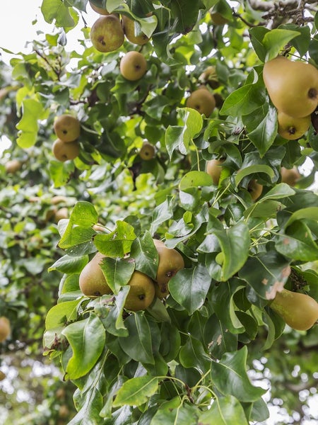 21 Te Pari Pari Road, Pukerua Bay, Porirua - Carousel 22