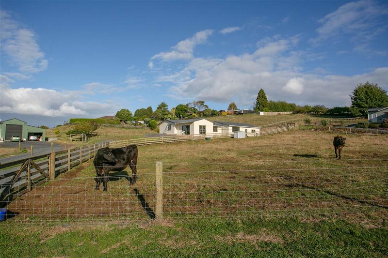 374B Waikeria Road, Kihikihi, Te Awamutu - Carousel 23