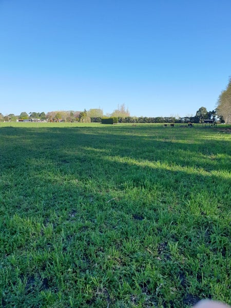 148 Butchers Road, Clarkville, Kaiapoi - Carousel 21