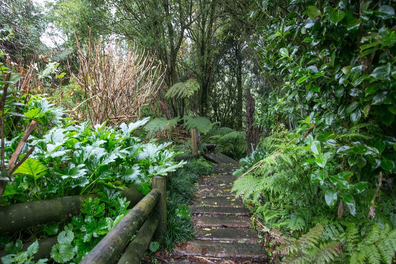 60A Mangati Road, Puketotara - Carousel 26