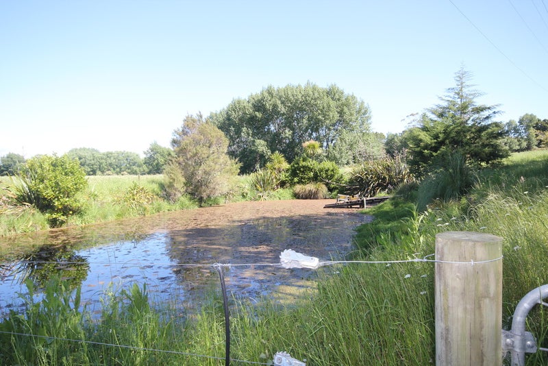 77 Forestry Road, Kaukapakapa - Carousel 20