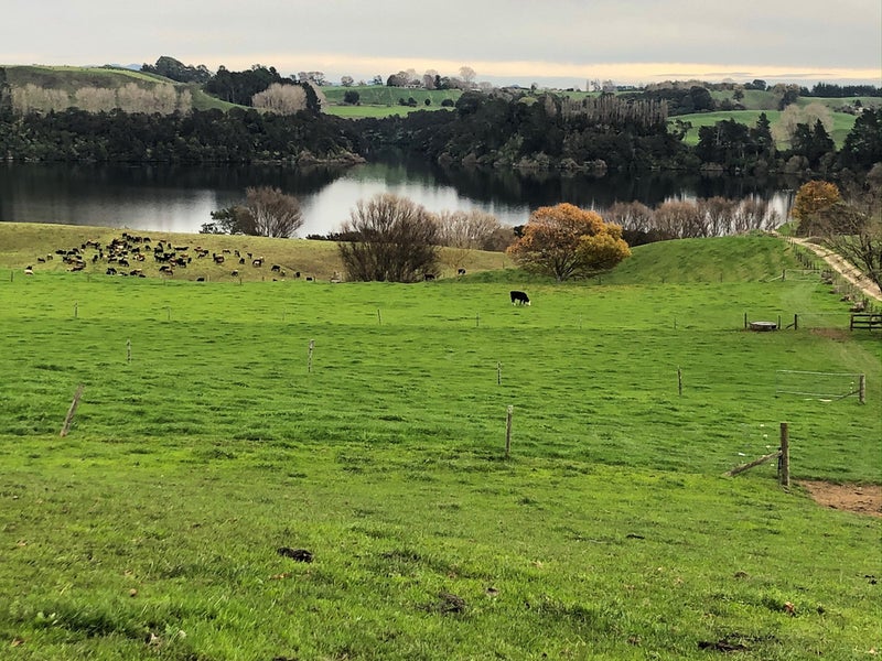 728 Lake Arapuni Road, Putaruru - Carousel 1