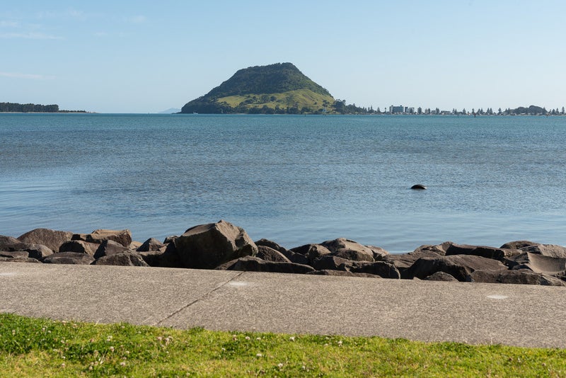 64 Harbour Drive, Otumoetai, Tauranga - Carousel 11