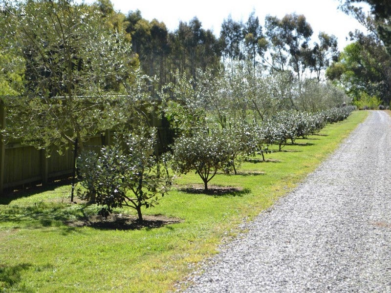 107 Harleston Road, Rangiora - Carousel 2