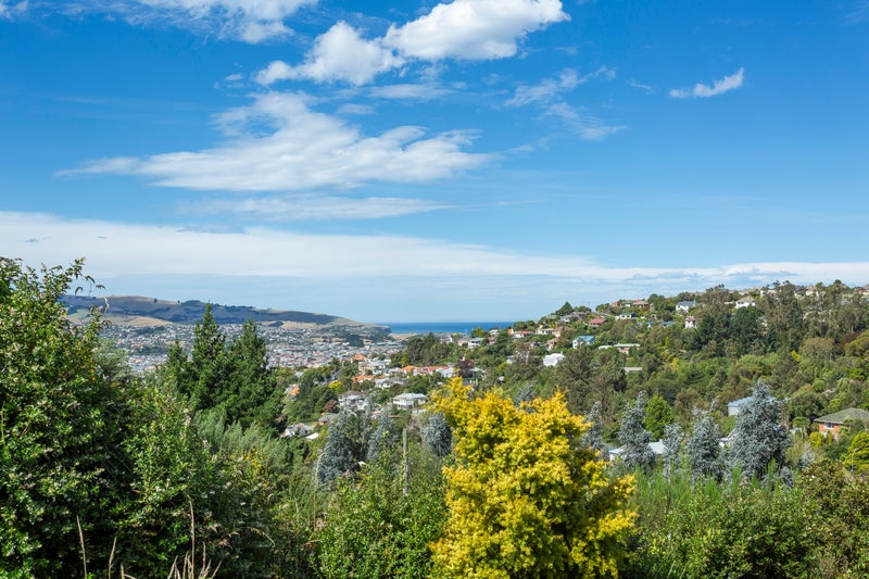 138 Sidey Street, Calton Hill, Dunedin - Carousel 21
