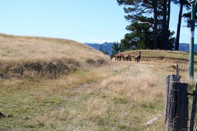 176 Liverton Road, KELSON, LOWER HUTT - Carousel 6