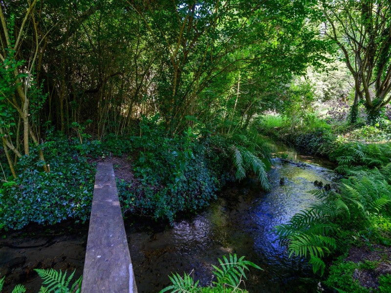 308 Sunset Road, Sunnybrook, Rotorua - Carousel 16