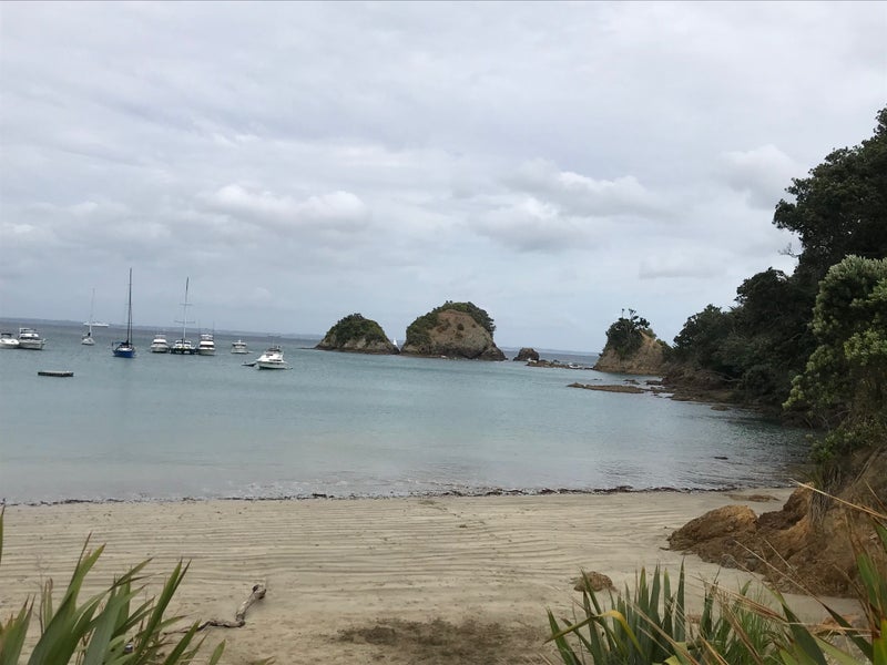 24 Jane York Place, Rakino Island, Auckland - Carousel 8