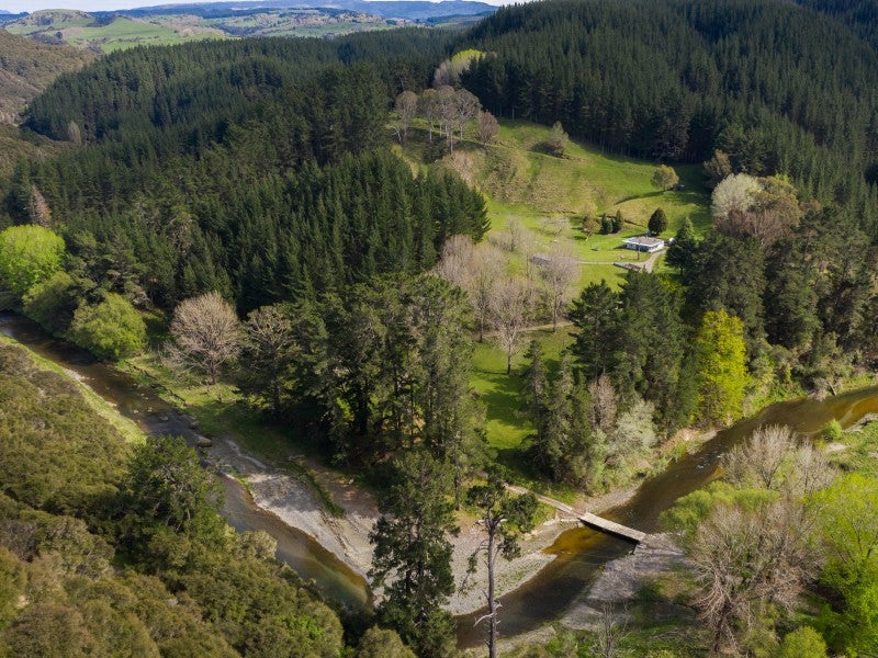 1238 Ellis Wallace Road, Te Pohue - Carousel 2