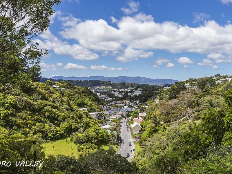 11 Irvine Street, Aro Valley, Wellington - Carousel 2