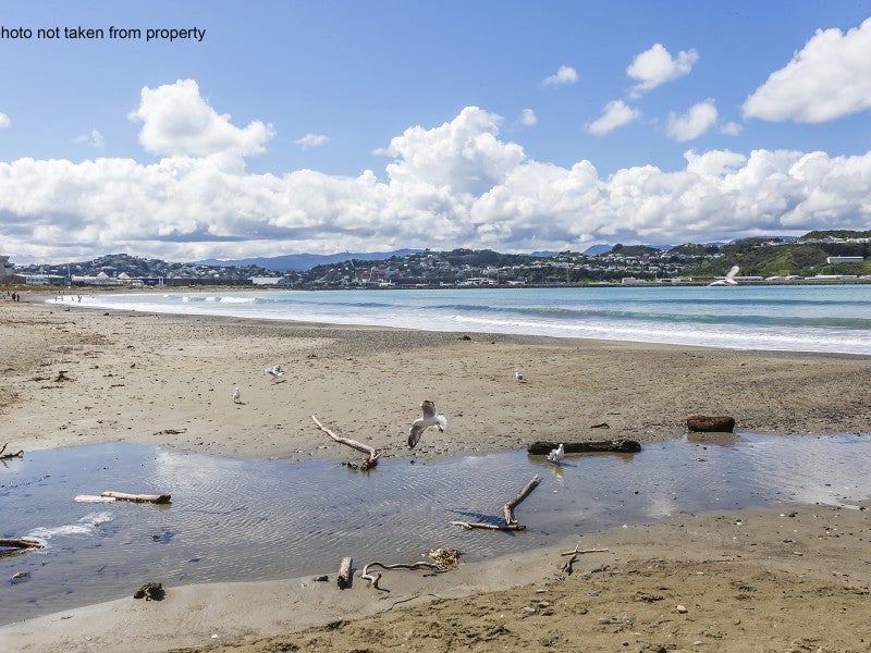 2 Lyall Parade, Lyall Bay, Wellington - Carousel 22