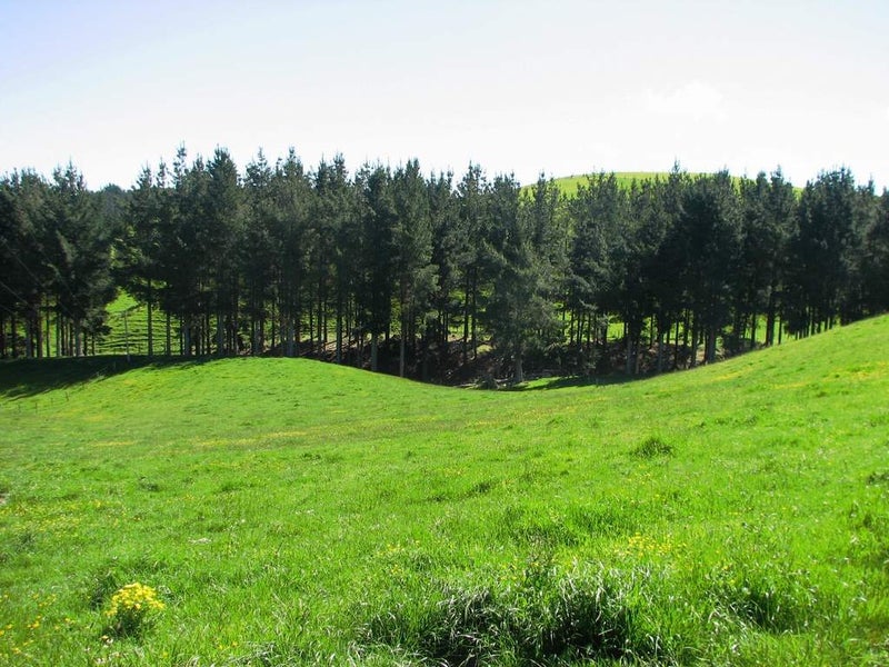 291 Ulysses Road, Ashhurst, Palmerston North - Carousel 6