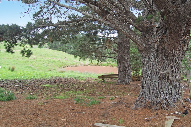 319 Parekura Road, Kaiwaka - Carousel 21