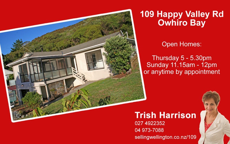 109 Happy Valley Road, Owhiro Bay, Wellington - Carousel 21
