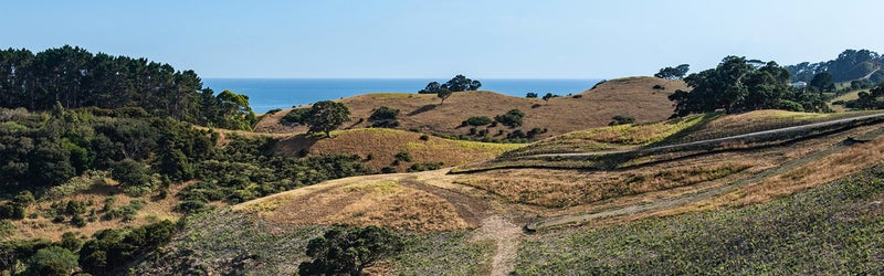 32 Hill Road, Hillpark, Auckland - Carousel 2