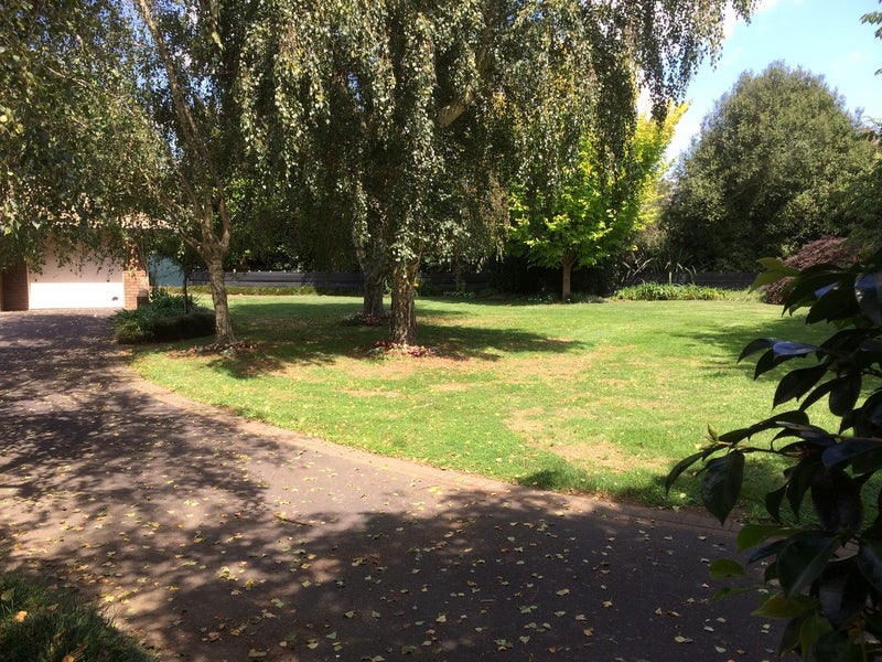 161 Flat Road, Kihikihi, Te Awamutu - Carousel 9