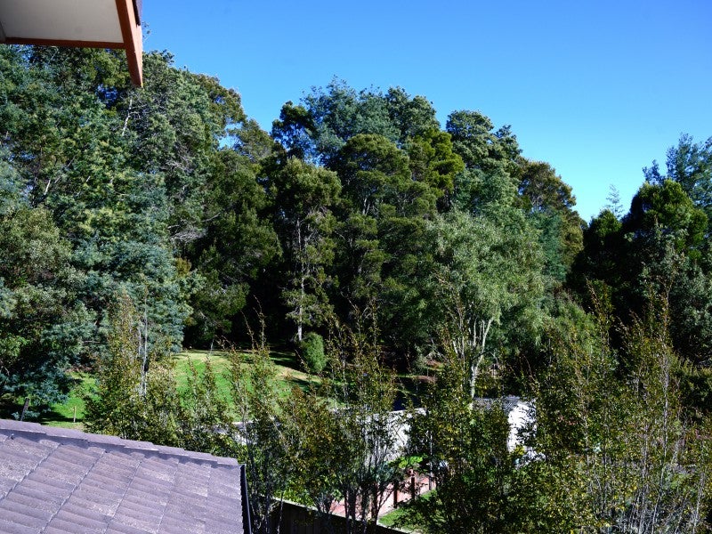 7 Forest Place, Lynmore, Rotorua - Carousel 26