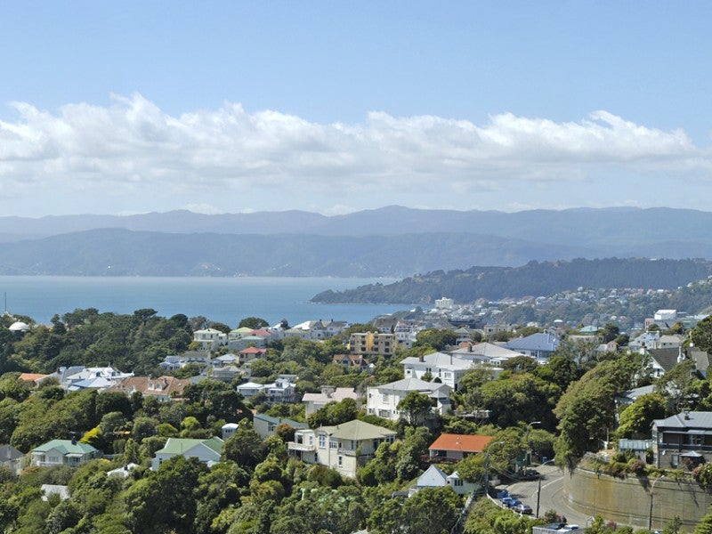 10 Thorby Street, Northland, Wellington - Carousel 20