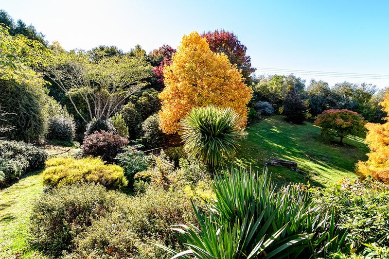 204 Westdale Road, Redwood Valley - Carousel 16