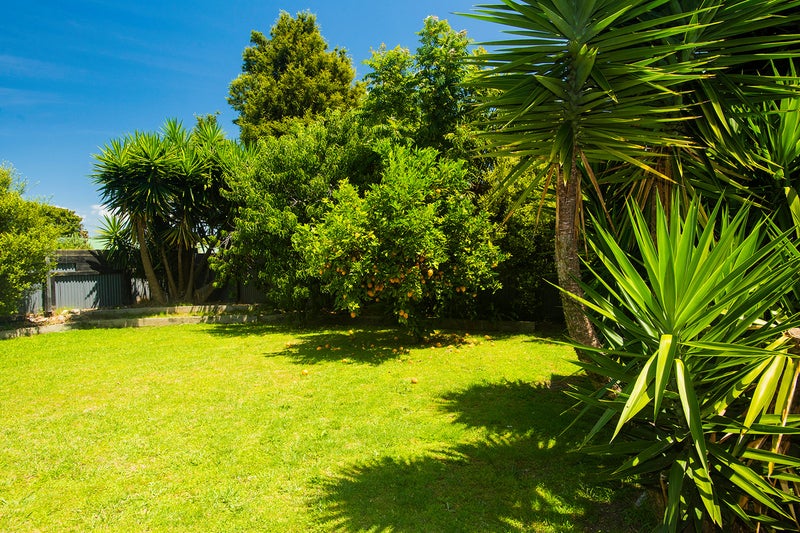 26 Tolerton Avenue, Elgin, Gisborne - Carousel 24