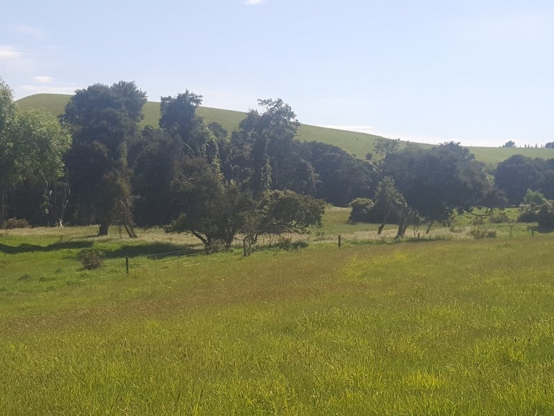 179 Mcleods Road, Rangiora - Carousel 7