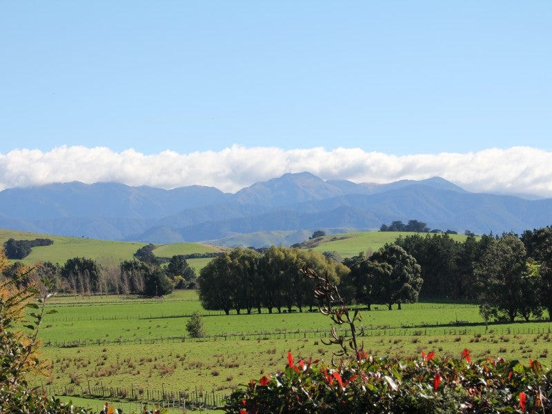 82 James Road, Masterton - Carousel 25