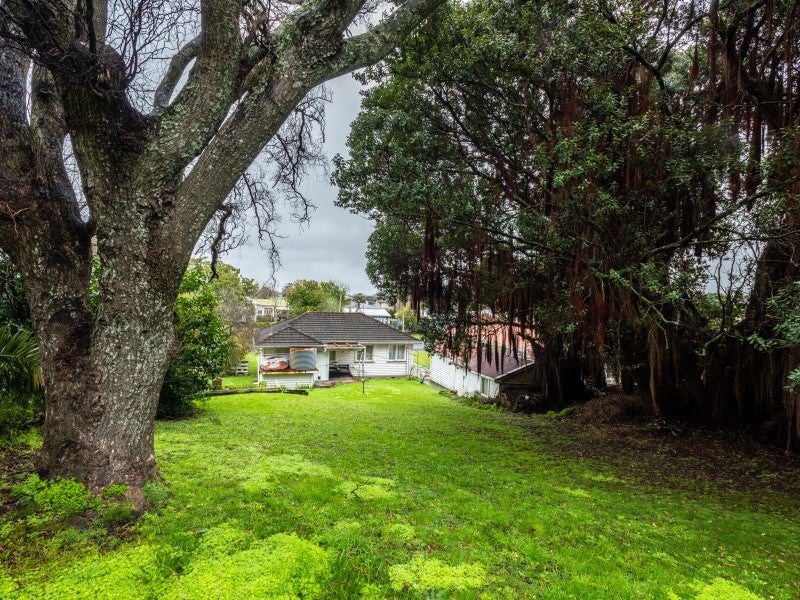 5 Gordon Street, Mangapapa, Gisborne - Carousel 19