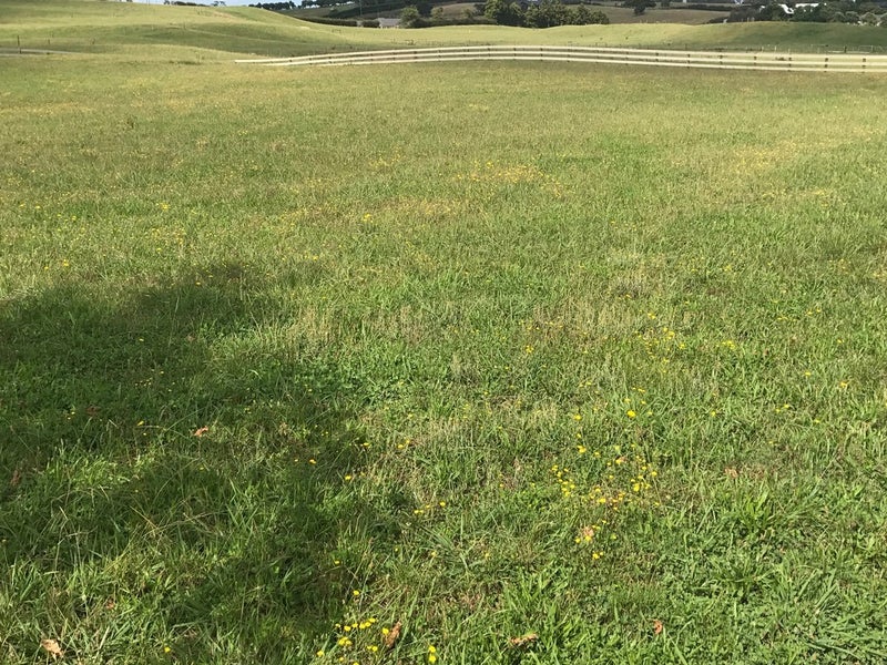 41 Ryan Road, Kingseat, Pukekohe - Carousel 1