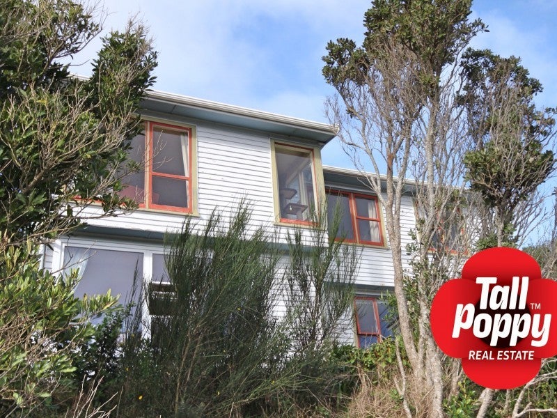 45 Bedford Street, Northland, Wellington - Carousel 1