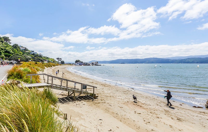 171 Marine Parade, Seatoun, Wellington - Carousel 20