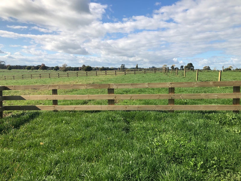 282 Meadway Road, Ohaupo - Carousel 2