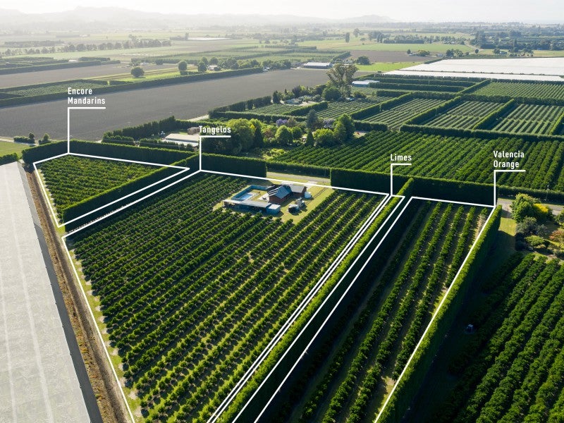 18 Jackson Road, Waerengaahika, Gisborne - Carousel 2