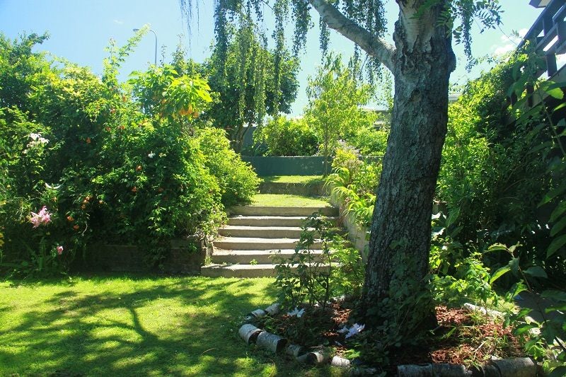 437 Ruahine Street, Terrace End, Palmerston North - Carousel 16