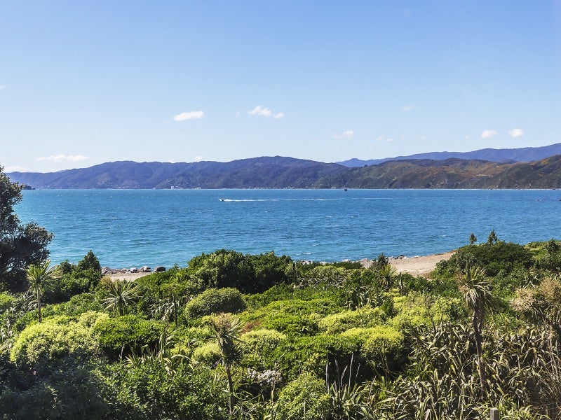15 Boardwalk Lane, Seatoun, Wellington - Carousel 2