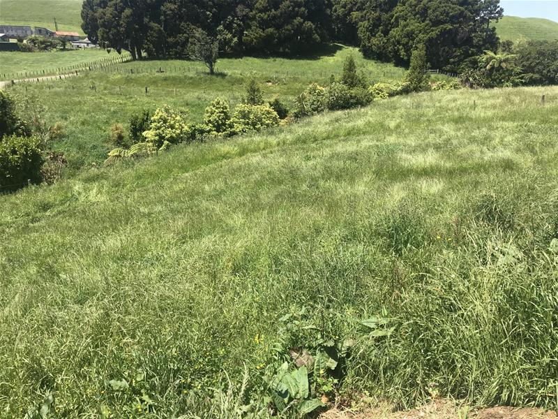 101 Pheney Road, Omata, New Plymouth - Carousel 2