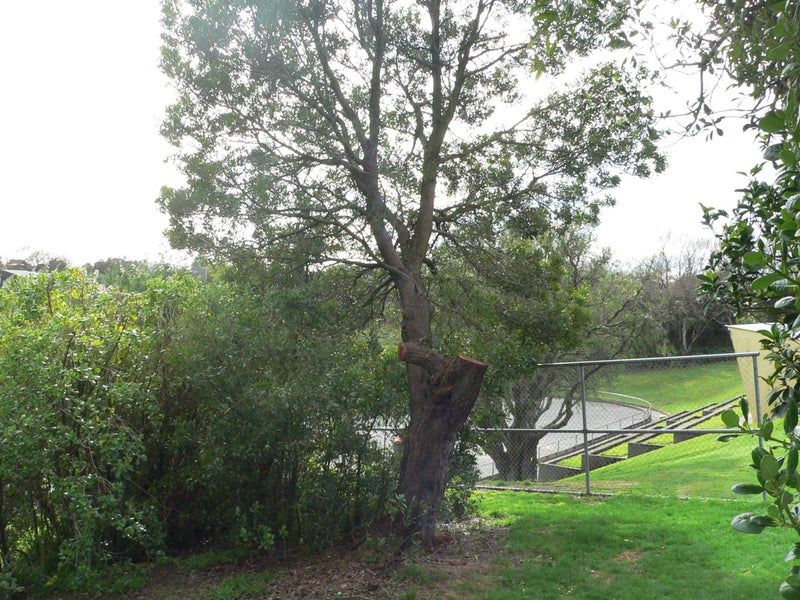 21 Frederick Street, Terrace End, Palmerston North - Carousel 10