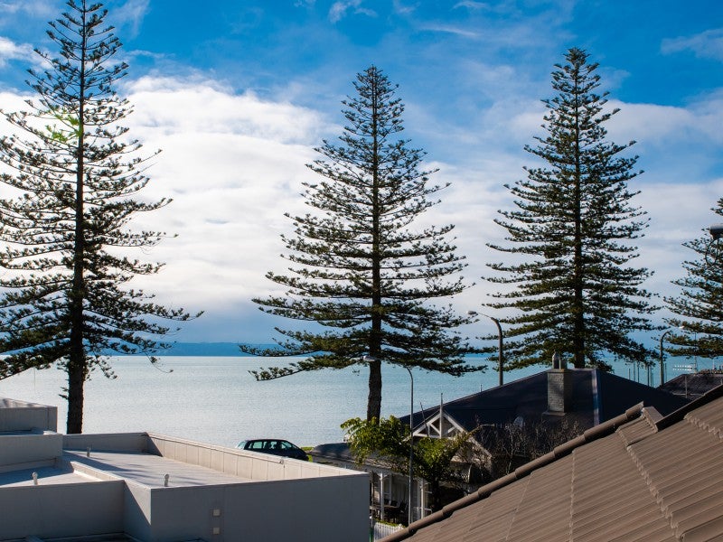 146 Waghorne Street, Ahuriri, Napier - Carousel 13