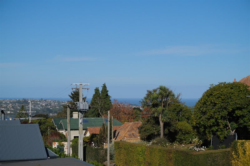 25 Pacific Street, Roslyn, Dunedin - Carousel 20