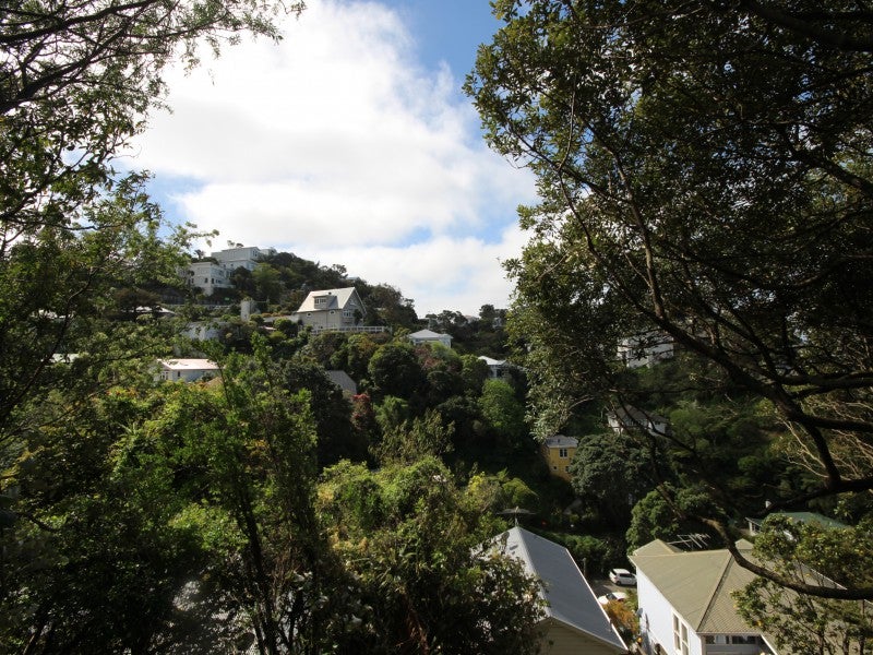 79 Raroa Road, Aro Valley, Wellington - Carousel 2