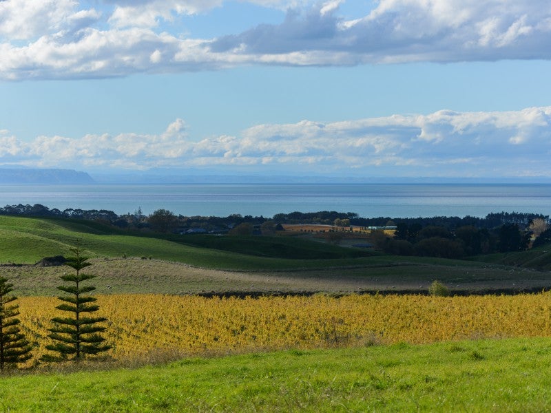 81 Millar Road, Hastings - Carousel 1