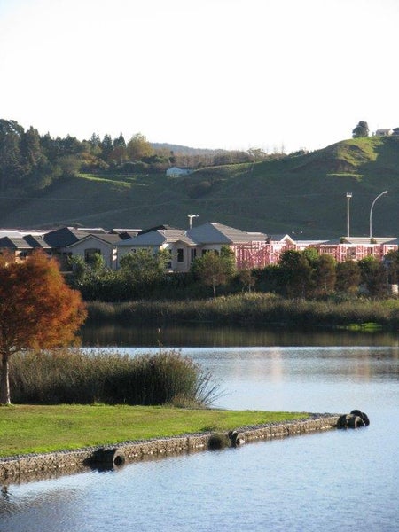 19 Scoria Close, Pyes Pa, Tauranga - Carousel 7