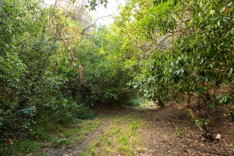 6 Plumwood Lane, Cashmere, Christchurch - Carousel 21