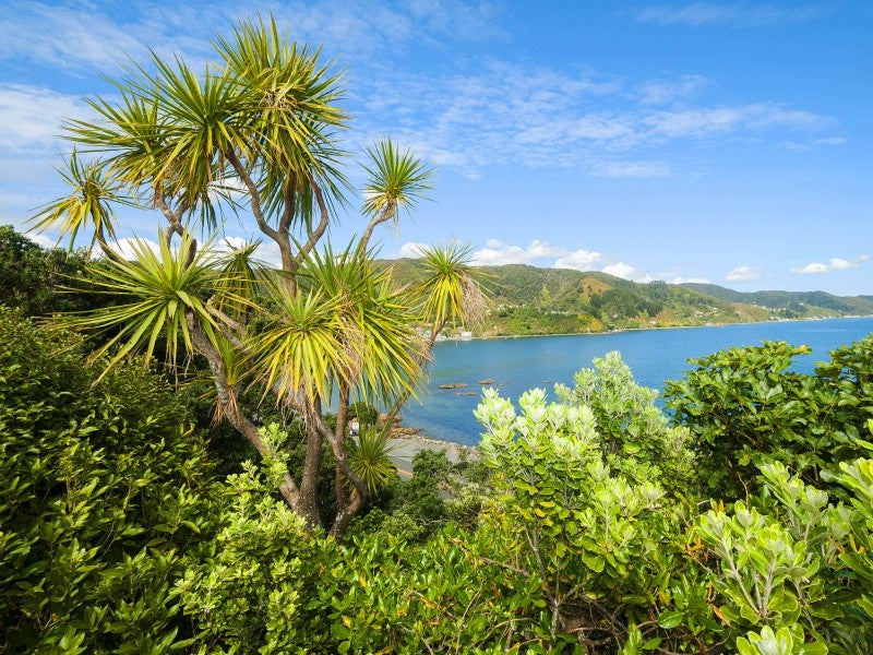 3 Church Lane, Point Howard, Lower Hutt - Carousel 2