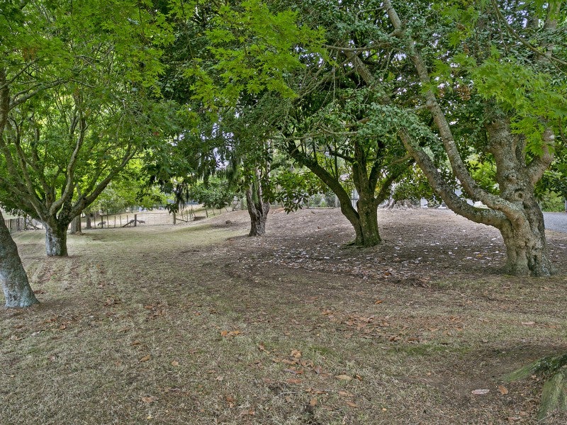 1377 Arapuni Road, Putaruru - Carousel 20