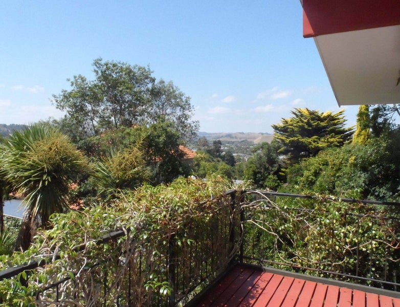 1B Virginia Road, Saint Johns Hill, Whanganui - Carousel 2